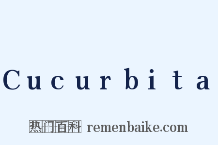 Cucurbita是什么意思的图片